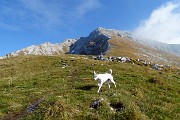 Anello PIZZO ARERA tra le nuvole... che frècc ! Il 22 ottobre 2016 - FOTOGALLERY
